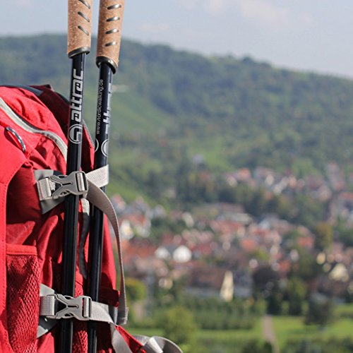 Nordic Walking Stöcke Classic Teleskop Verstellbar inkl. Nordic Walking App Wanderstöcke mit Anti-Shock Dämpfung - 7