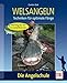 Welsangeln: Techniken für optimale Fänge (Die Angelschule)
