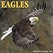 Produktbild Eagles 2020 Wall Calendar