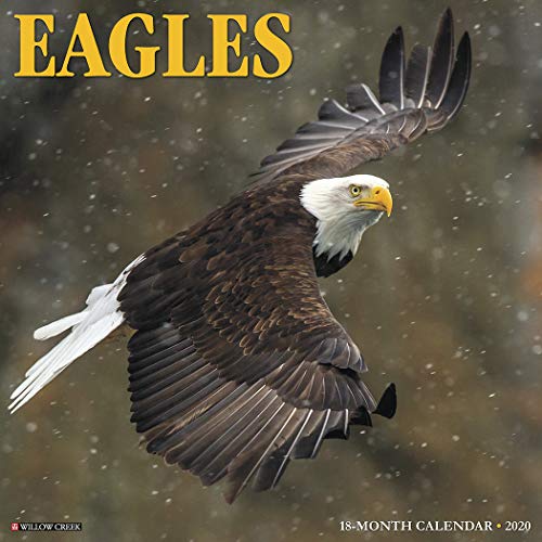 Preisvergleich Produktbild Eagles 2020 Wall Calendar