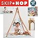 Produktbild Skip Hop Camping Cubs Activity Gym groß gesteppt Play Matte Spaß Tiere Musik Beißring Rassel etc..