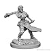 Produktbild Dungeons & Dragons: Nolzur's Marvelous Unpainted Minis: Human Female Monk