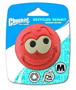 Chuckit! Recycled Remmy Ball, 1-pack by Canine Hardware