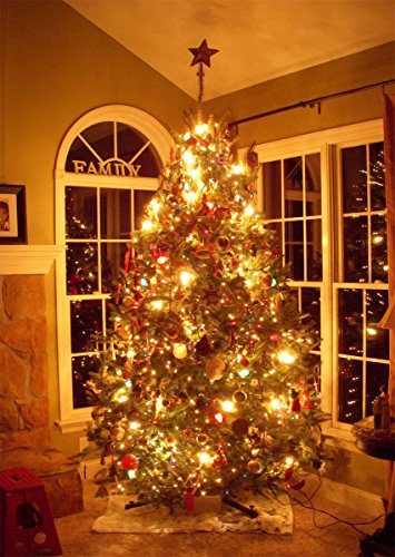 2 X Mr11 10w 12v Fibre Optic Christmas Tree Halogen Bulb 35mm Low