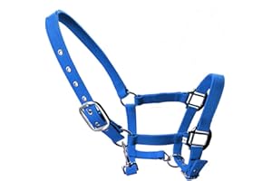 tooloflife Licol bleu réglable en nylon rembourré pour poulain, poney, âne