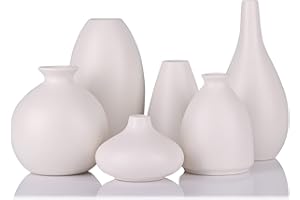 LCCCK Set di 6 piccoli vasi bianchi in ceramica bianca per centrotavola, piante da appartamento Ikebana mini vasi per decorazione, vaso in ceramica bianca adatto per matrimoni, casa, centrotavola, moderno,