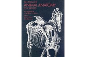 An atlas of animal anatomy for artists.