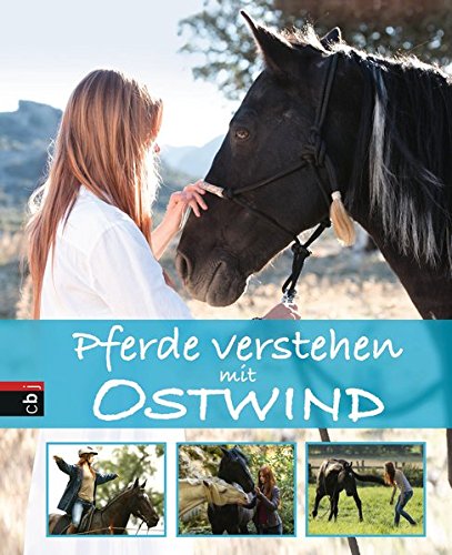 Pferde verstehen mit Ostwind (Ostwind - Die Sachbücher, Band 1)