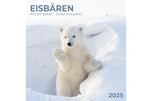 Polar Bears/Eisbärchen 2025: Kalender 2025 (Artwork Edition)