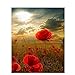 Produktbild LG Malen DIY Ölgemälde durch Zahlen Acrylfarbe Moderne Wandkunst Bild handgemaltes einzigartiges Geschenk für Zuhause - rote Blume,WithoutFrame,60 * 75cm