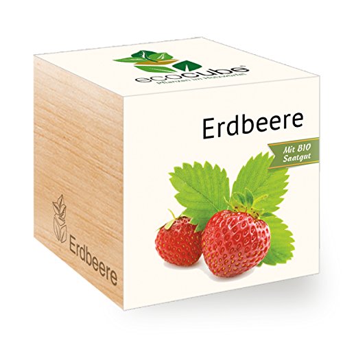 Preisvergleich Produktbild Erdbeere im Holzwürfel
