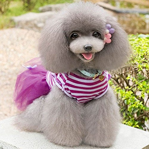 Bodhi2000-Pet-Puppy-Small-Dog-Princess-Tutu-Dress-Cat-Bow-Stripes-Skirt-Clothes