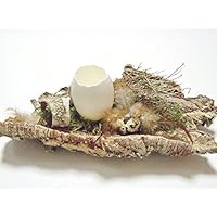 SCHLUPFEI XXL AUF KORK / Osterdeko/ Naturdeko/ Geburtstag/ Valentinstag/ Muttertag/ Tischdeko/ Lifestyle-Deko/ Einzug