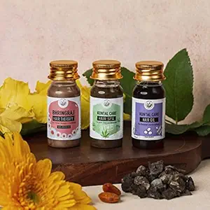 AMRUTAM Hair Care Travel Pack