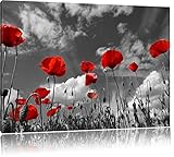 Für einen nahtlosen Übergang an den Kanten wird das Bild über diese hinausgedruckt. Weiße Fläche wird somit ideal überdeckt und das Bild hat einen schönen Übergang zur Wand. Alle Bilder werden mit hochwertigen, ökologischen Pigmenttinten gedruckt und bieten ein fantastisches Farbergebnis mit hohen Kontrasten. Überzeugen Sie sich selbst!