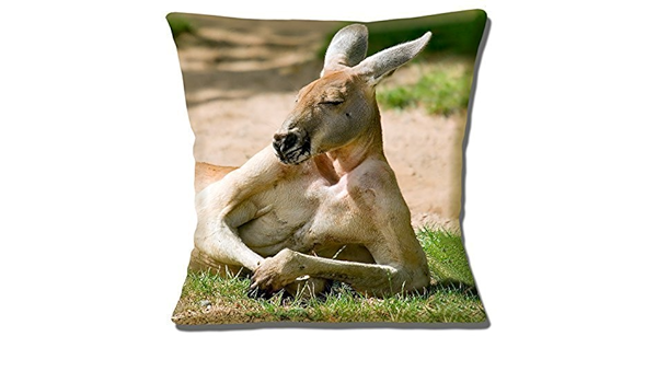 kangaroo pillow