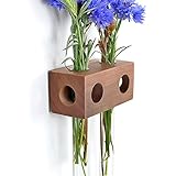 Fenstervase Apfel 2er Blumenvase Test Tube Vase Flower Vase