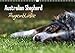 Produktbild Australian Shepherd - Augenblicke (Wandkalender 2017 DIN A3 quer): Faszination Australian Shepherd - Berührende Augenblicke begleiten Sie durchs ganze ... (Monatskalender, 14 Seiten ) (CALVENDO Tiere)