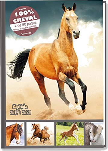 Télécharger Agenda scolaire journalier - Cheval marron 2019-2020 - 12x17cm - couverture rembordée PDF