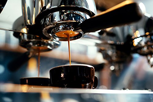 Kaffeereiniger24 | effektives Reinigungspulver | Gründliche Beseitigung von Kaffeerückständen | Vielfältig einsetzbarer Reiniger | Geschmacksneutral, lebensmittelhygienisch und schnell löslich | made in germany | 1000g - 3