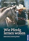 Wie Pferde lernen wollen: Bodenarbeit, Erziehung und Reiten by 