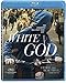 Produktbild White God [Blu-ray]