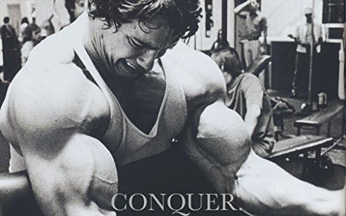 Arnold Cool Conquer Gym Motivational Poster Print in Sizes-A2