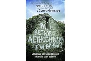 Pa Beth Yr Aethoch Allan I'w Achub