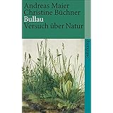 Ich Frankfurter Poetikvorlesungen Edition Suhrkamp Amazon De Maier Andreas Bucher