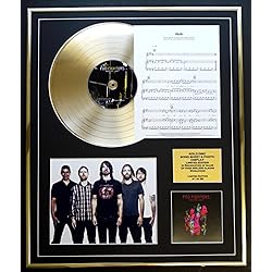 FOO FIGHTERS / CD GOLD DISCO, HOJA DE CANCIONES Y FOTO DISPLAY / ALBUM WASTING LIGHT / HOJA DE CANCIONES WALK