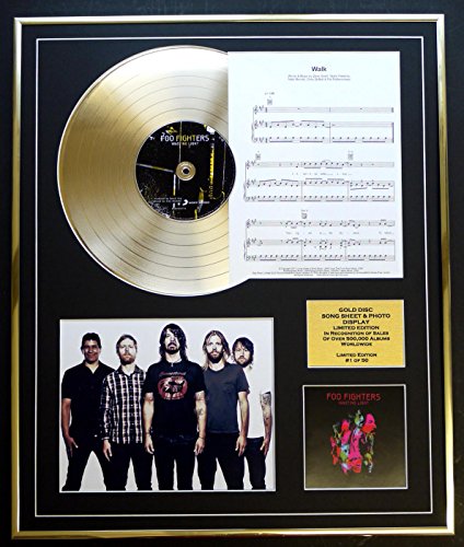 FOO FIGHTERS / CD GOLD DISCO, HOJA DE CANCIONES Y FOTO DISPLAY / ALBUM WASTING LIGHT / HOJA DE CANCIONES WALK