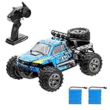 Realistischer Wüstenbuggy sieht aus wie ein echter Wüstenbuggy und auch die einzelnen Teile sehen aus wie ein echter Buggy dank des 1:18 Maßstabsdetaildesigns, Wüstenbuggy-Stil Karosserie, Aluminiumgehäuse, Überrollkäfig und Fahrercockpit