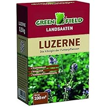 Semi Di Salvia Officinalis - Erba Aromatica, Per Cucina E Orto - Foto 8