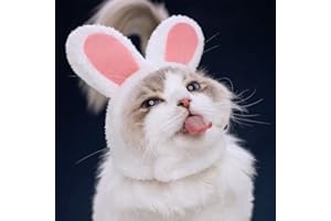 CYQACLSF Chapeau de Chat, Lapin Oreille Chapeau Chat, Oreilles de Lapin pour Chat, Couvre Chef pour Chat, Taille Réglable, avec Fermeture Velcro Réglable, pour Chats et Petits Chiens Parti Costume Accessoire