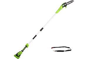 Greenworks G40PSF Sega ad Asta a Batteria, Lunghezza Barra 8-Pollice (20 cm),Velocità Catena 8m/s, 3,64kg, Auto-Lubrificante, Asta 2.58m, SENZA Batteria 40V e Caricabatterie, Garanzia 3 Anni