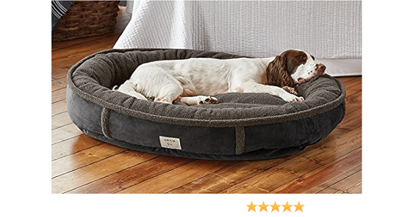 orvis dog beds amazon
