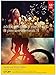 Produktbild Adobe Photoshop Elements 15 & Premiere Elements 15 | Student/Teacher | PC/Mac | Disc