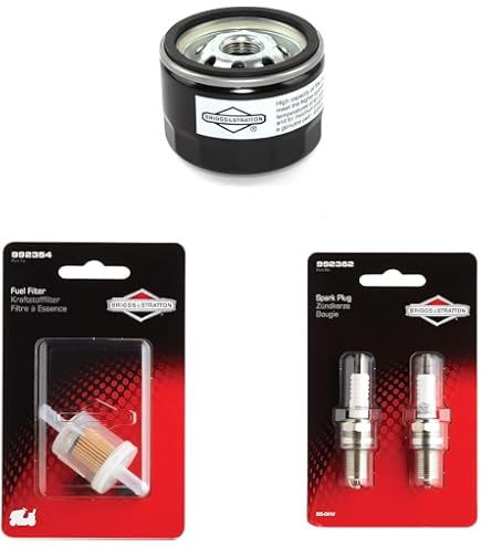 Lot De 2 Filtres à Carburant Briggs & Stratton 493629 691035 695666 - Compatibles Multi-Marques