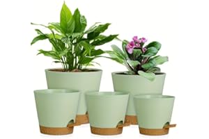 Neuytiky Selbstbewässernde Pflanztöpfe Set 5 Größen (12,7-17,8cm) - Blumentöpfe innen mit Wasserstandsanzeige für Kräuter, Sukkulenten, afrikanische Veilchen - Kunststoff (Grün)