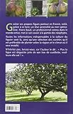 Image de Le Figuier : Pas à pas