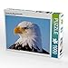 Produktbild Portraet eines Weisskopfseeadler. 1000 Teile Puzzle quer