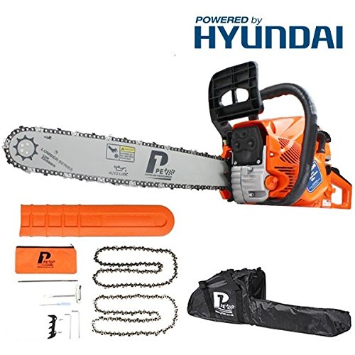 Petrol Chainsaw Reviews - The top chain saws reviewed