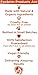 Peptide Complex Serum - Anti Aging, Anti Wrinkle Facial Serum - Advanced Delivery Skin Care - Natural & Organic Ingredients - Plump & Smooth Skin - Boost Collagen Production - Foxbrim 1oz