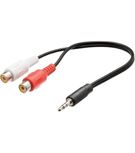 Valueline VLAP22200B10 Câble Audio Stéréo 3,5 Mm Mâle Vers 2x RCA Mâles 1m
