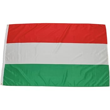 FLAGGE UNGARN 90x60cm - UNGARISCHE FAHNE 60 X 90 Cm Scheide Für