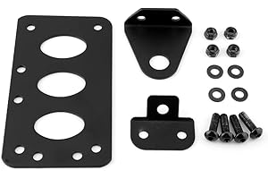 QIILU Qii lu Soporte Universal para Placa de matrícula de Motocicleta, Soporte de Marco de Placa de matrícula de Soporte de luz Trasera de Montaje Lateral Retro(B)