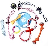 10 Stück Hundespielzeug robust Aerodynamisch Geformtes Frisbee Spieltau mit hübscher Farbgebung Futterball Spielball Kauspielzeug Knochen Spielset für Hund von Treat Me