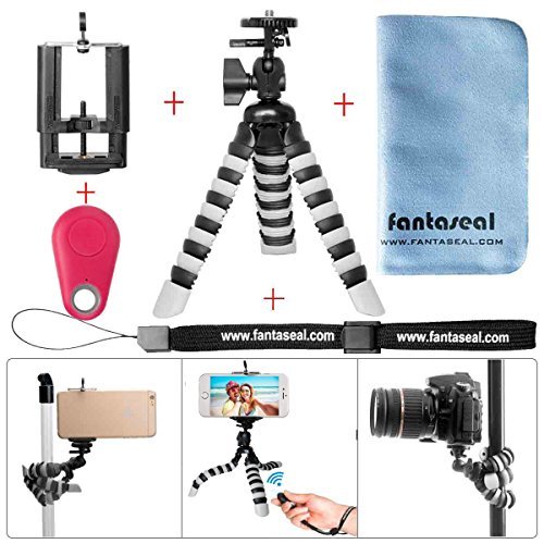 Octopus Tr  pied Parent Child Variation