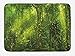 Produktbild NasNew Doormats Plant Bath Mat, Tropical Tranquil Place with Lots of Green Trees Earthly Places Untouched Jungle, Plush Bathroom Decor Mat with Non Slip Backing, 23.6 W X 15.7 W Inches, Apple Green
