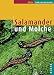 Produktbild Salamander und Molche (Datz Terrarienbücher)